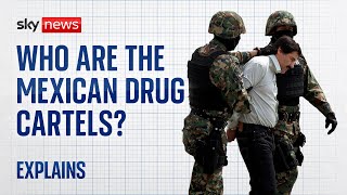 Who are the Mexican drug cartels [upl. by Goeger138]