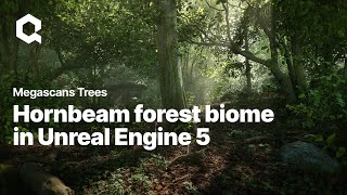 Experience Megascans Trees European Hornbeam in Unreal Engine 5 [upl. by Inod]