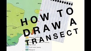 How to draw a Transect  Geo Skills [upl. by Atelokin]