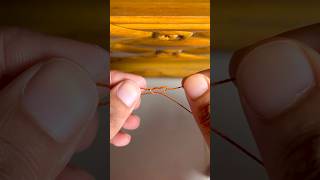 Perfection Loop Knot knothook shorts short youtubeshorts fishingtips [upl. by Alleram282]