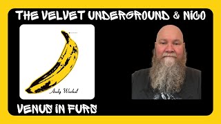 The Velvet Underground amp Nico  Venus In Furs 1967 reaction commentary [upl. by Collyer]