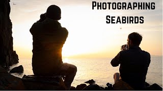 Photographing Seabirds in Flight  DSLR vs Mirrorless [upl. by Yukio]