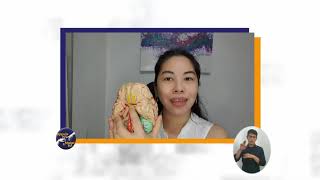 Lets Talk About Health Craniopharyngioma  Dr Noreen C TangcuangcoTrinidad [upl. by Avlis40]