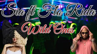 Flo Rida  Wild Ones ft Sia Official Video [upl. by Sito]