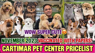 NOVEMBER 2023 UPDATED CARTIMAR PET PRICELIST  GIVEAWAY CUTE amp PURE BREED PUPPIES MUST WATCH [upl. by Rratsal]