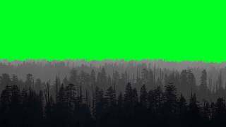 Forest  Green Screen Animation [upl. by Bunni]