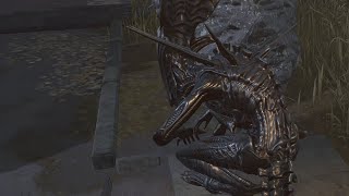 Killer Gameplay  Xenomorph Queen  Badham Preschool  No Commentary  Dead by Daylight [upl. by Yoc917]