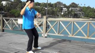 Tai Chi for Arthritis 1 n 2 Taichi for HealthBy Jennifer Chung TaiChi SJY web taichisg [upl. by Aivatco340]