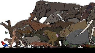 Size Comparison Prehistoric animals 01 [upl. by Rubbico301]