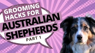 How to Groom an Australian Shepherd StepbyStep Grooming Guide  Part 1 [upl. by Llib]