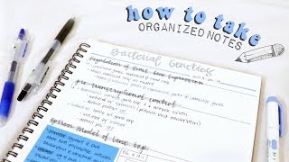 how to take organized notes amp study effectively  christylynn [upl. by Ayit970]