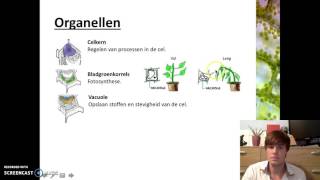 Organen en cellen  Plantaardige cellen [upl. by Lucian]