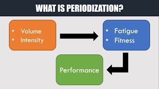 What is Periodization  How to Plan and Manage Training [upl. by Sergu]