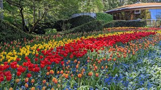 The Beauty Of Butchart Gardens On Vancouver Island in British Columbia Canada [upl. by Jeuz]