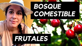 Cómo CULTIVAR FRUTALES  Bosque Comestible [upl. by Nadean]