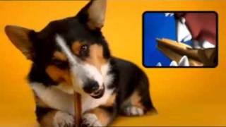 Pedigree DentaStix Werbung  quotDie Drittenquot [upl. by Cadmarr]