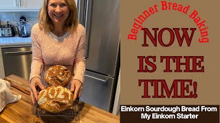 Making Sourdough Bread With Healthy Ancient Einkorn Flour morningdovehaven [upl. by Janine]