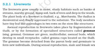 Liverworts  Mosses  Class 11  NCERT Biology [upl. by Lounge]