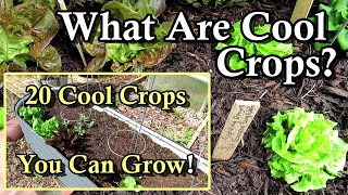 20 Cool Weather Crops You Can Easily Grow What are Cool Crops When to Plant Them Examples [upl. by Tavy]