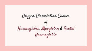 Oxygen Dissociation Curves of Haemoglobin Myoglobin amp Foetal Haemoglobin Gaseous Exchange [upl. by Alyek]