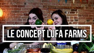 FAIRE SON EPICERIE BIO ET LOCALE AVEC LUFA FARMS  MONTRÉAL [upl. by Islehc]