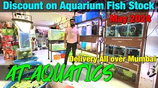 Discount Offer on Fish Stock at AT AQUATICS Aquarium Store in Thane I Delivery Available All Mumbai [upl. by Mauretta960]