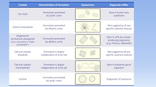 What Your Urine Color Says About Your Health  Urinary System Breakdown  DeepDives [upl. by Elfrida]