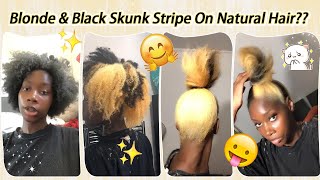 Its Different🤯 Skunk Stripe On Her Natural 4C Hair  Top Knot Bun Look  Dye Your Hair Elfinhair [upl. by Boucher]