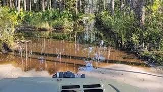 Argo Vanguard 6x6 in Osceola Forest [upl. by Llerrah43]