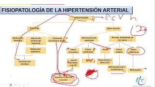 Hipertensión Arterial Complicaciones Fisiopatología de la HTA 33 [upl. by Collin]