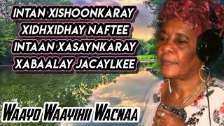 Khadiija Foodey Nuur 🔥Iyo Heesta quotXAABAALEquot [upl. by Earlene]