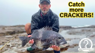 Catching Black Steenbras Musselcracker using catfish bait  PROOF our bait works [upl. by Bred]