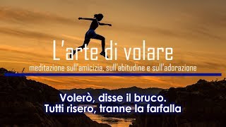 Volerò disse il bruco Tutti risero tranne la farfalla larte di volare [upl. by Va]