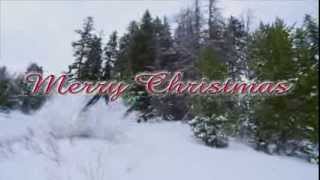 Arctic Cat 2013 Holiday Video [upl. by Levania]