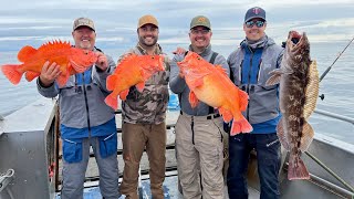 HalibutSalmonRockfishLingcod COMBO Charter Fishing in Seward Alaska Fishing w MILLERS LANDING [upl. by Merchant]