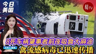 8死车祸肇事者前夜吸食大麻油；禽流感病毒已迅速传播【今日美国】051524 [upl. by Wons]