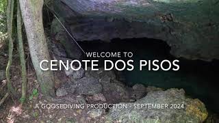 Cenote Dos Pisos September 2024 [upl. by Enalahs165]