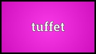 Tuffet Meaning [upl. by Dragone]