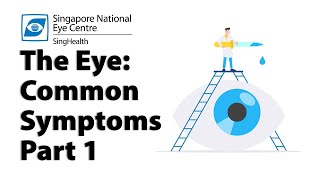 Common Eye Symptoms Part 1 Blurred Vision Cloudy Vision Halos and Glare [upl. by Reinhold518]