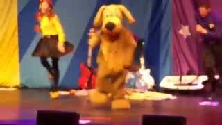 Wags the Dog live  Wiggles in Hamilton Ontario [upl. by Torey]