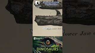 Uncover the Secrets of Earths First Dinosaur 🦖✨ [upl. by Kessler]