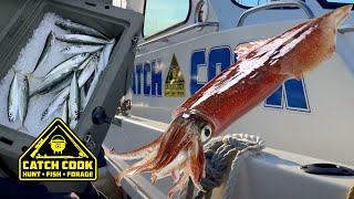 🇿🇦 Fishing Mackerel and Squid in Simons Town  Catch Cook [upl. by Rohpotsirhc]