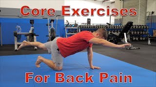 FIVE Best Core Exercises for Back Pain Protects Spine [upl. by Eicarg]