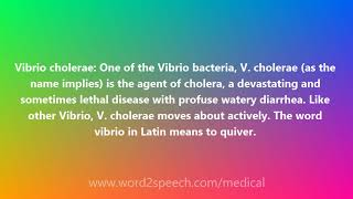 Vibrio cholerae  Medical Meaning and Pronunciation [upl. by Burkle]