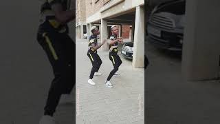 Limpopo Boy is unstoppable  2020 dance moves [upl. by Flann880]