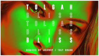 Tolgah  Bliss Toly Braun Remix [upl. by Ettolrahs538]