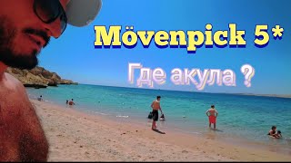 ЧТО с Акулами Mövenpick Resort Sharm el Sheikh 5 БУХТА НААМА БЕЙ Шарм Эль Шейх Пляж и питание [upl. by Shirberg]