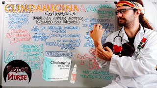 💊 Clindamicina quotDalacinquot Antibiótico Lincosamida [upl. by Tal]