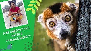 A la rencontre des lémuriens à Madagascar [upl. by Amandie]