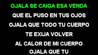 Hector Acosta Ojalá VOZ  LETRAS ADK [upl. by Iruy]